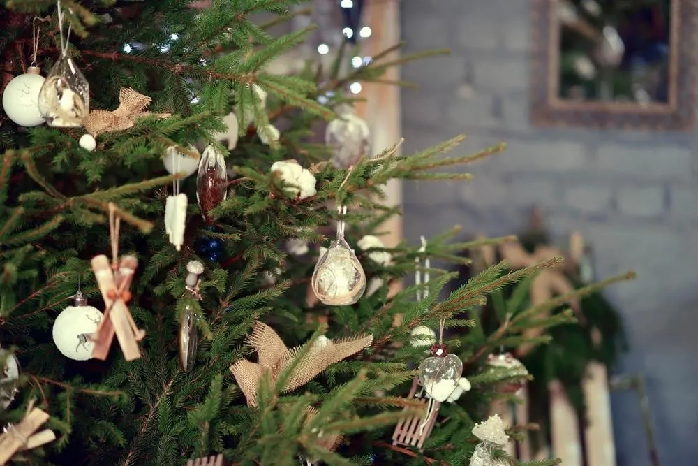 8ft Norway Spruce Christmas Tree